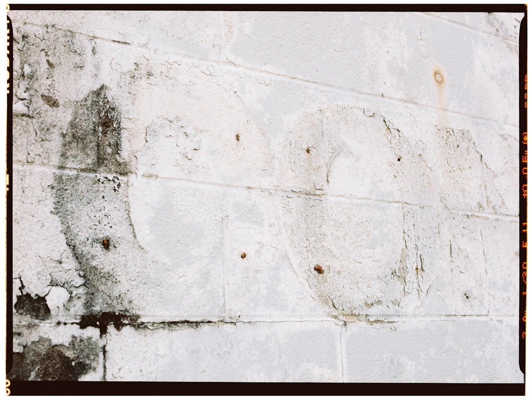 Water Extraction service in Corpus Christi, TX