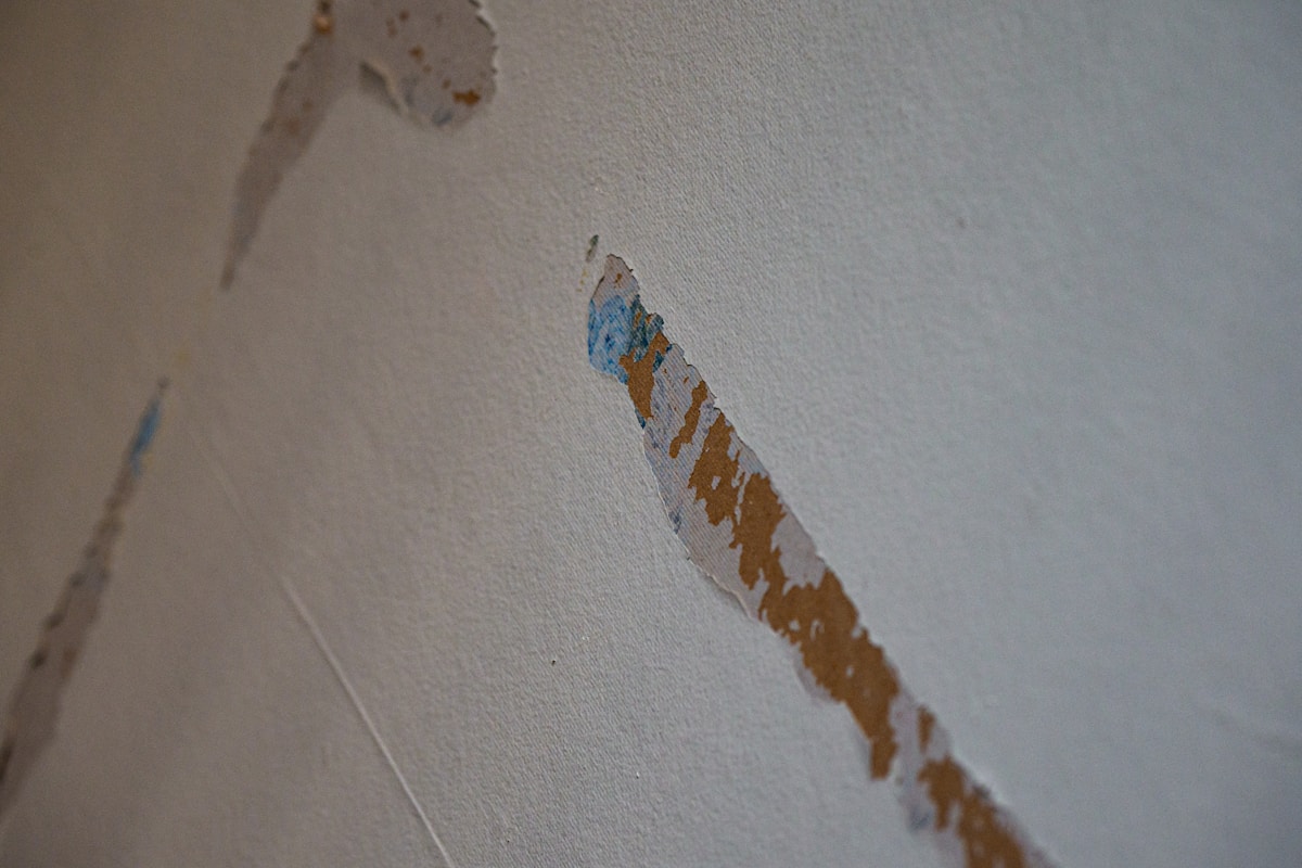 Basement Water Removal service in Corpus Christi, TX